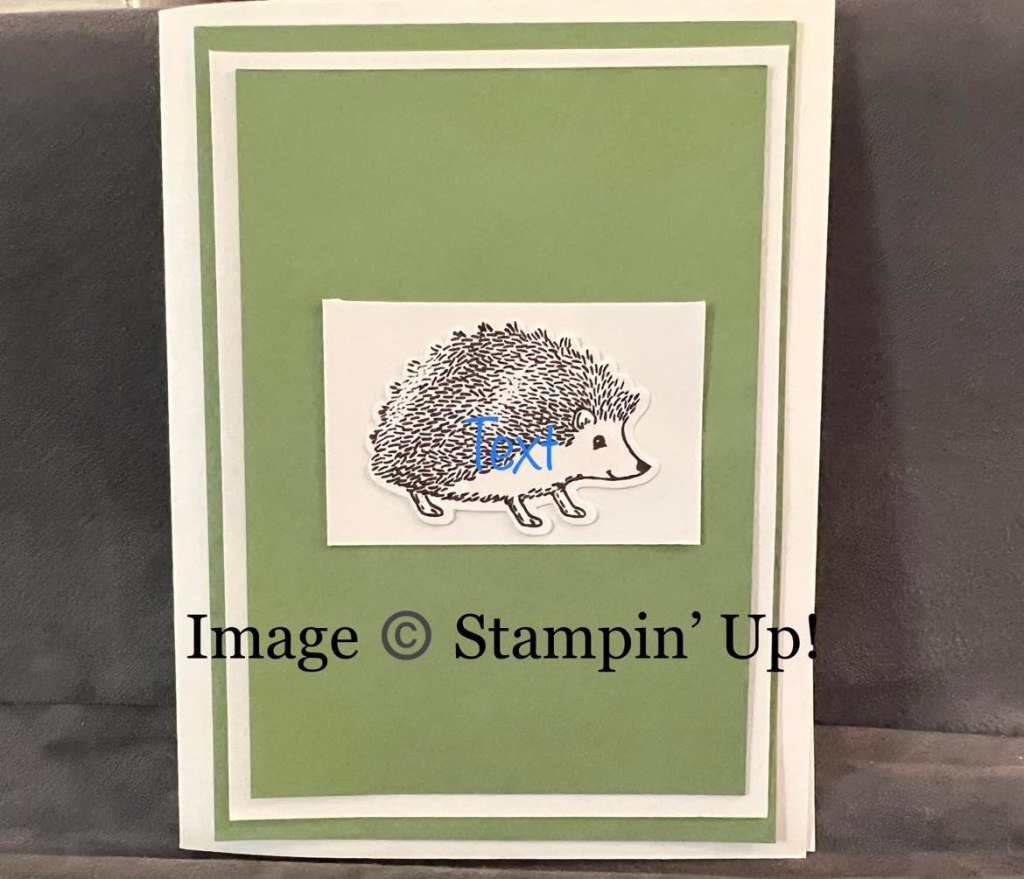 So What Do I Do With My Card&nbsp;Bases?