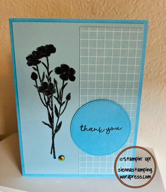 Silhouette Technique